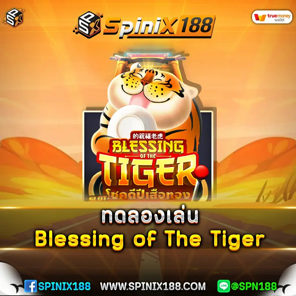 ทดลองเล่น Blessing of The Tiger